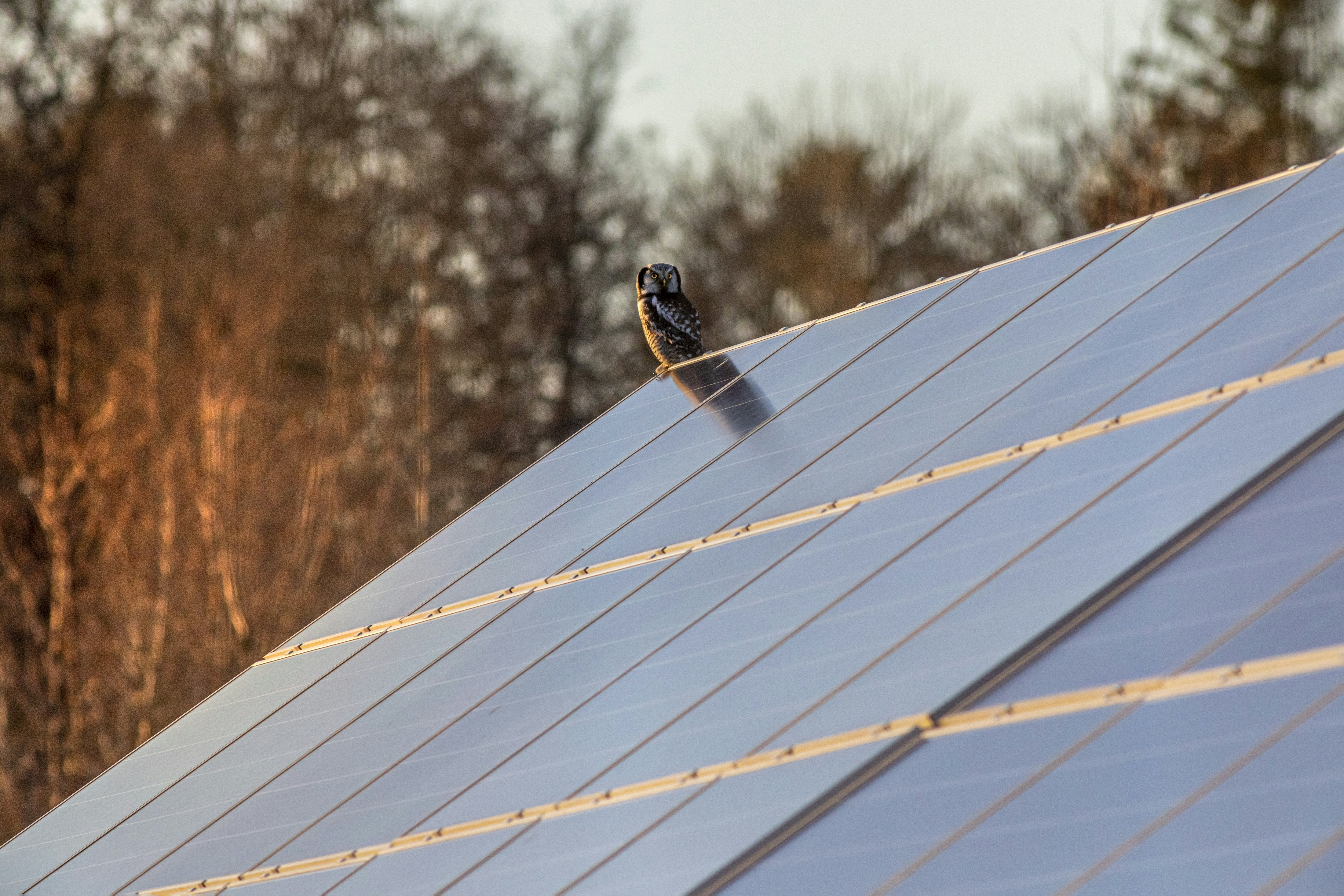 Energieeffizienz durch Photovoltaik